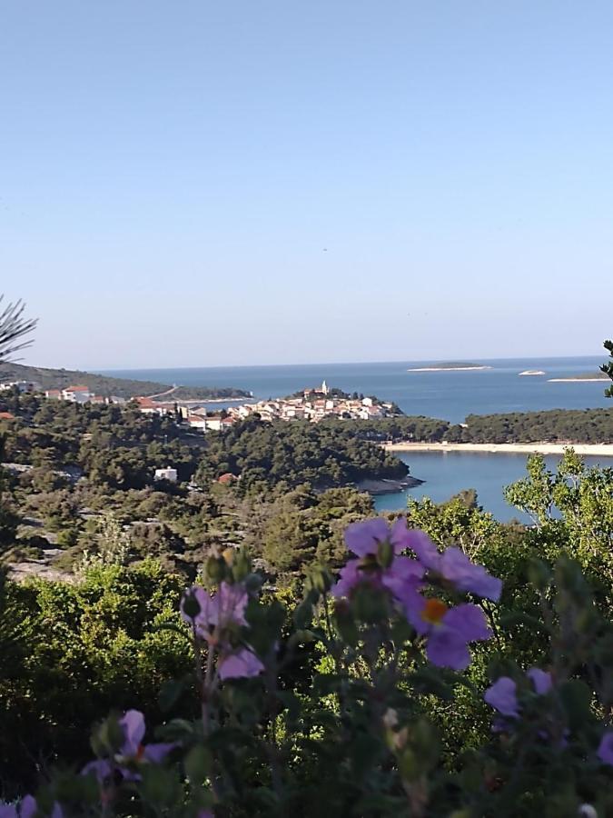 Apartmani Zmiric Primošten المظهر الخارجي الصورة